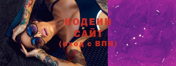 соль ск Новодвинск