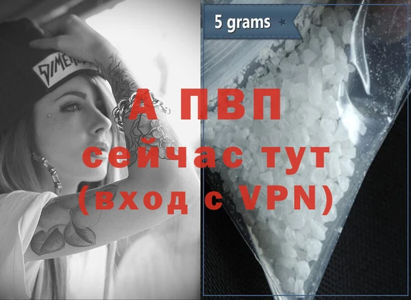 соль ск Новодвинск