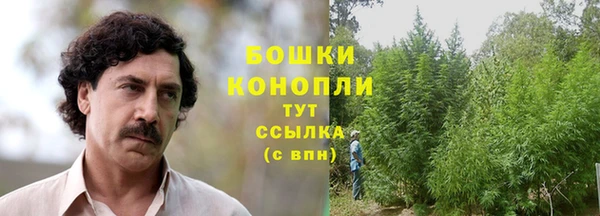 соль ск Новодвинск
