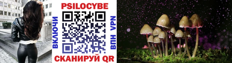 продажа наркотиков  Суоярви  Псилоцибиновые грибы Magic Shrooms 